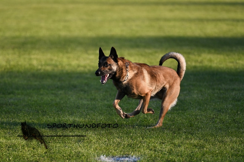 Impressionen 388.jpg